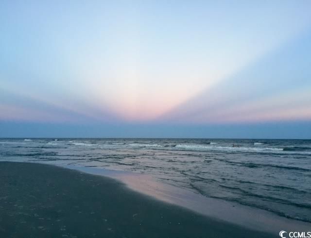 4614 Albatross St. Photo 30