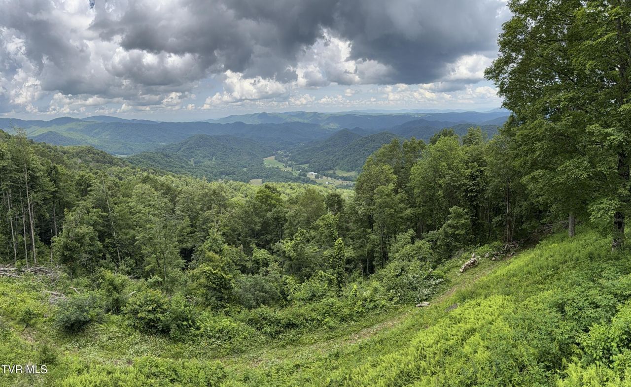 Tbd Log Cabin Lane, Roan Mountain, TN 37687 Main Photo