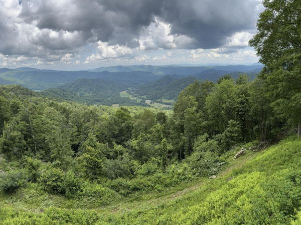 Tbd Log Cabin Lane, Roan Mountain, TN 37687