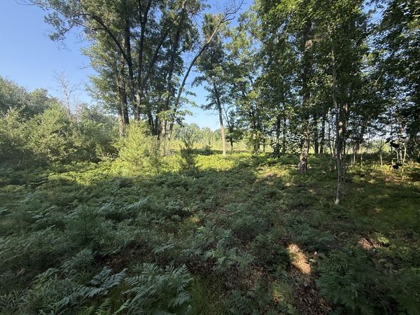 TBD W Royal Road, Unit 2, Stanwood, MI 49346