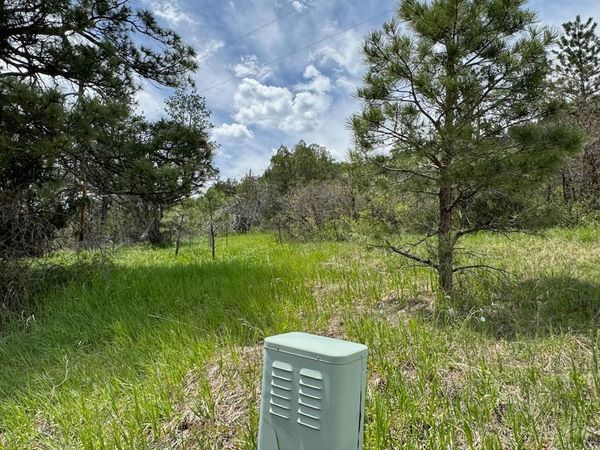 TBD-2 Vine Mesa Ave, Beulah, CO 81023