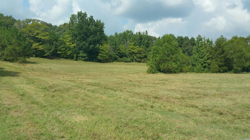 Tbd County Rd 35 Road, Tyler, TX 75706 Main Photo