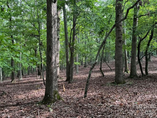 1695 Sierra Trace Road, Denton, NC 27239