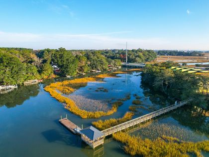 826 Curved Creek Court Charleston, SC 29412
