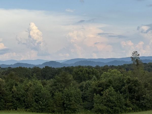 705 County Road 446, Athens, TN 37303