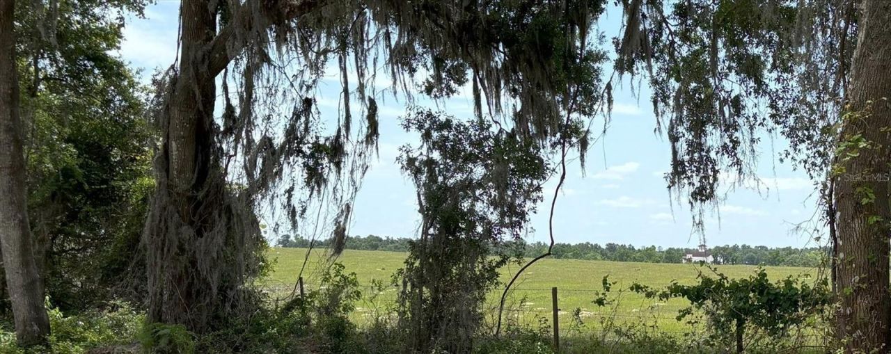 Church Road, Brooksville, FL 34602 Photo