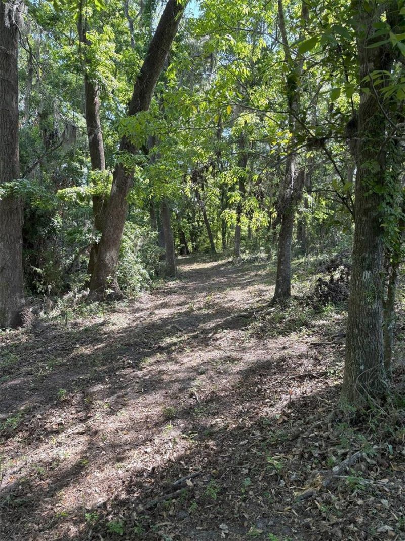 Church Road, Brooksville, FL 34602 Photo