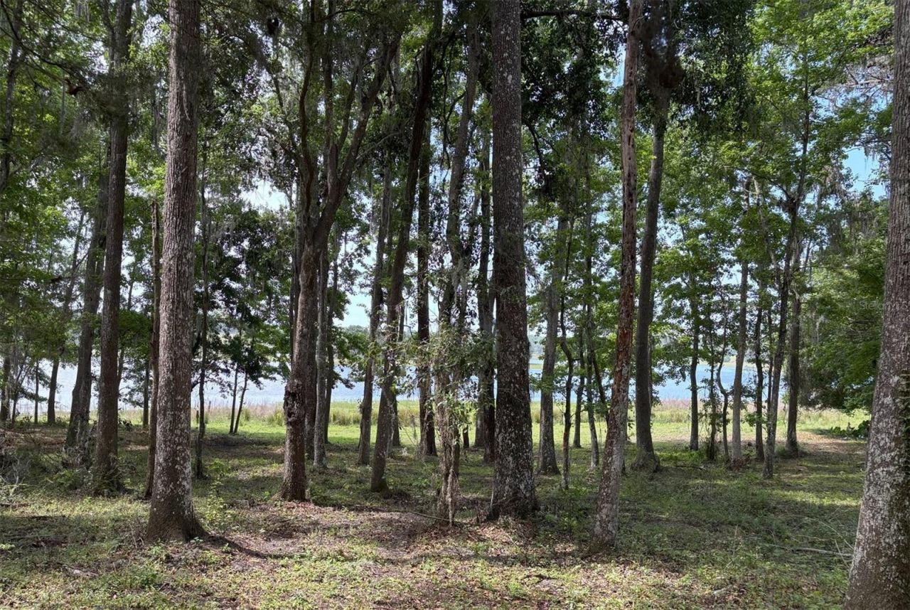 Church Road, Brooksville, FL 34602 Photo