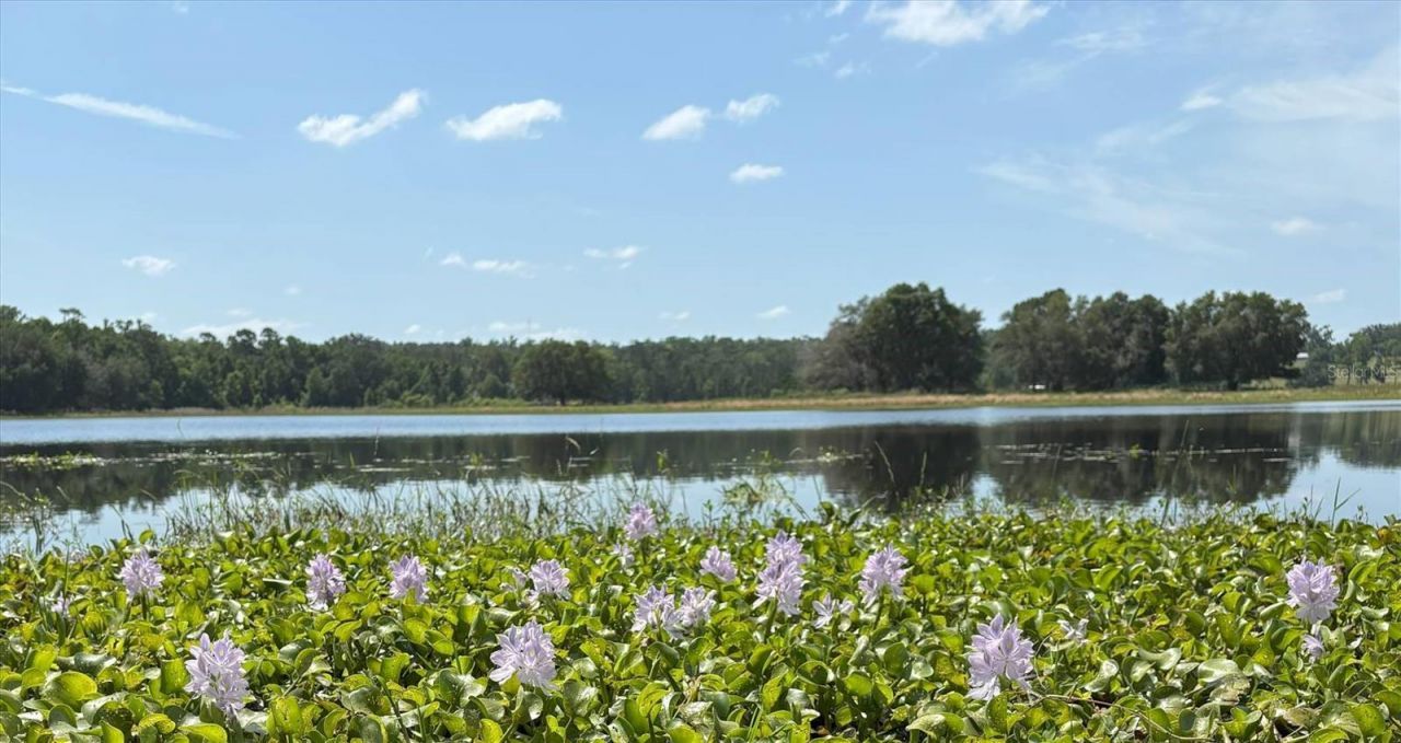 Church Road, Brooksville, FL 34602 Photo