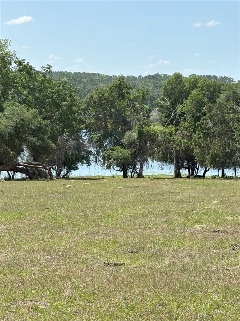 Church Road, Brooksville, FL 34602 Photo