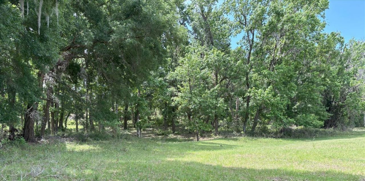 Church Road, Brooksville, FL 34602 Photo