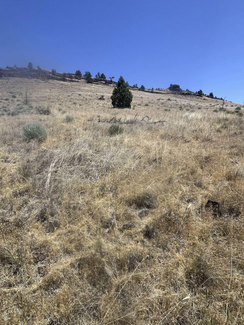 Se Hill Street, Lot #TL02400-11, Prineville, OR 97754 Main Photo