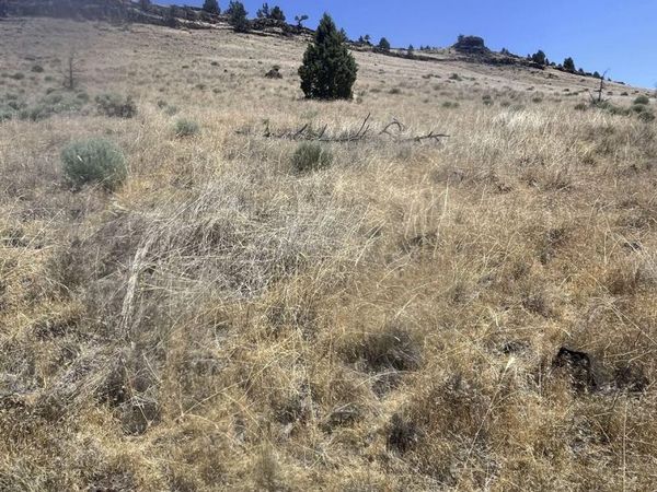 SE Hill Street, Unit TL02400-11, Prineville, OR 97754