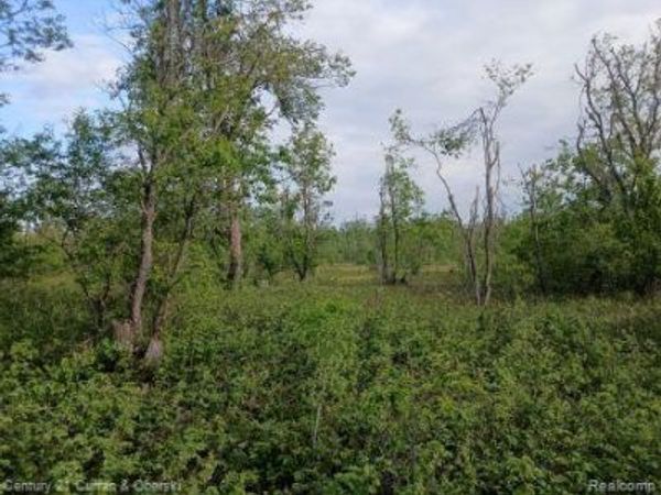 0000 Finnegan Rd,, Chester Twp, MI 49751