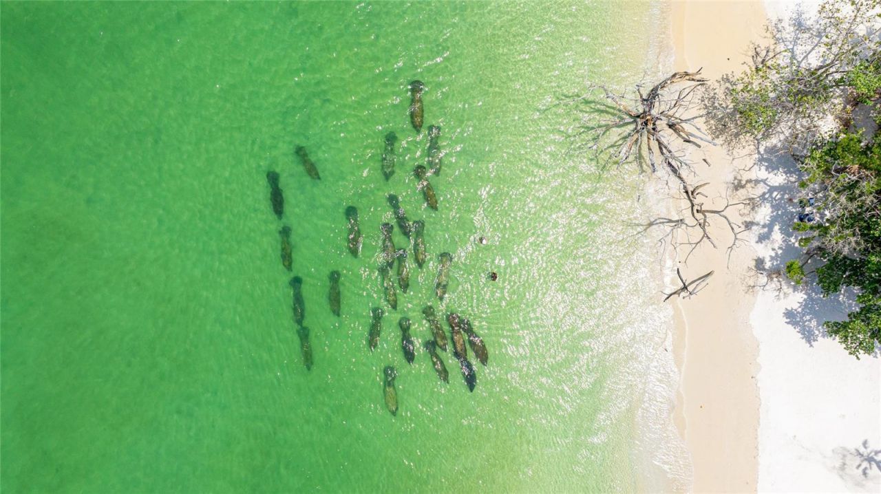 22 Sandy Cove Road, Unit APT 10-5, Sarasota, FL 34242 Photo