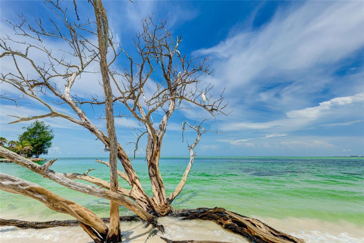 22 Sandy Cove Road, Unit APT 10-5, Sarasota, FL 34242 Photo