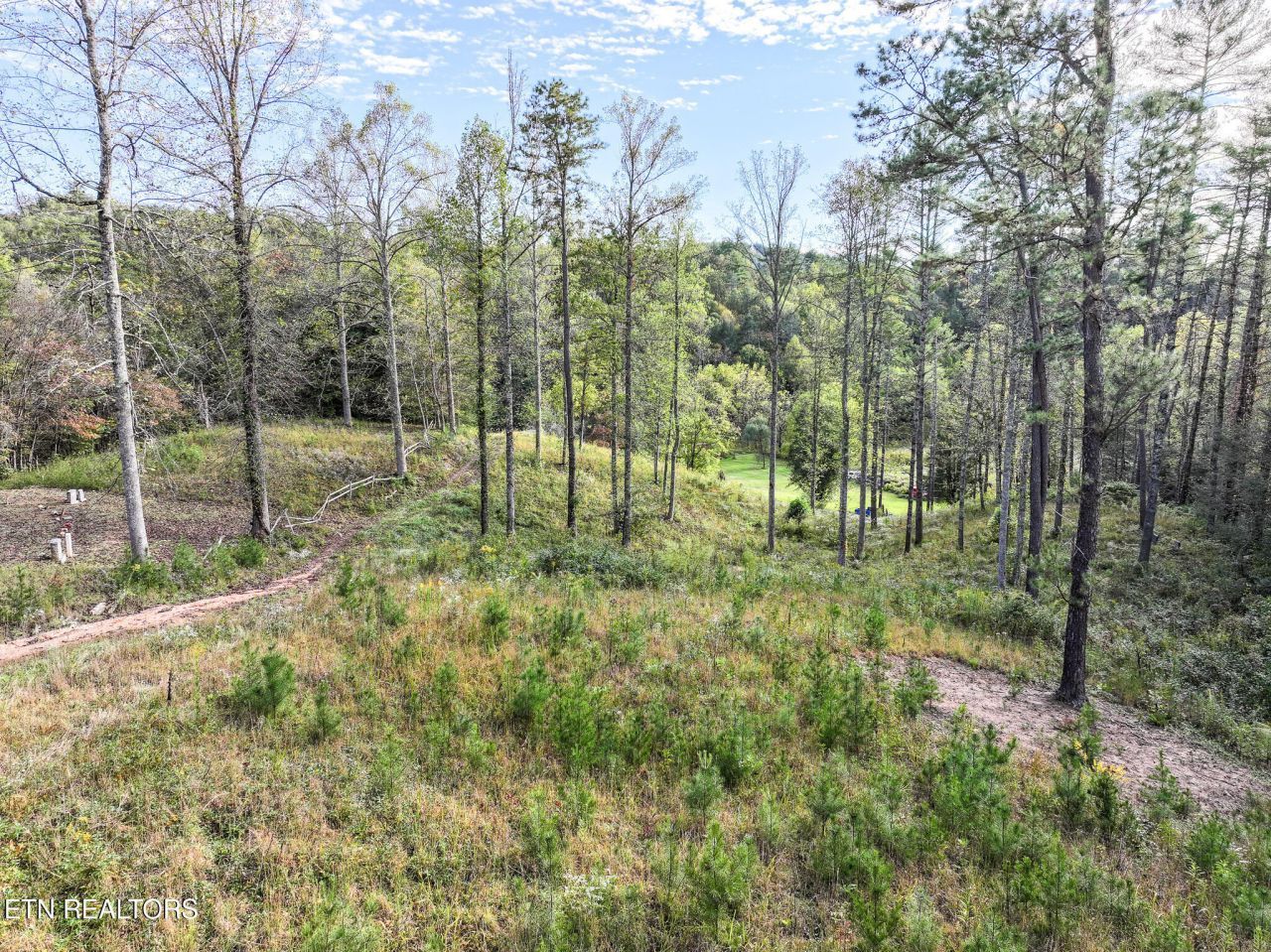 Long Branch Rd Off Rd, Del Rio, TN 37727 Main Photo