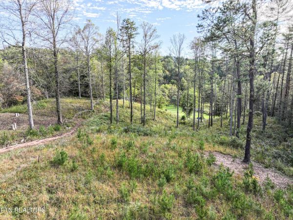 Long Branch Rd Off Rd, Del Rio, TN 37727