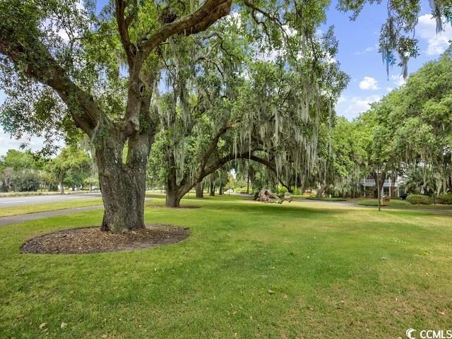 601 Retreat Beach Circle Photo 39