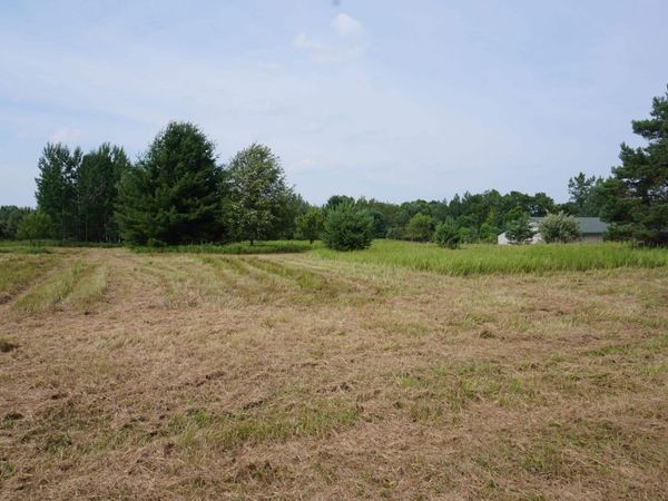 Tawas Road, Whittemore, MI 48770