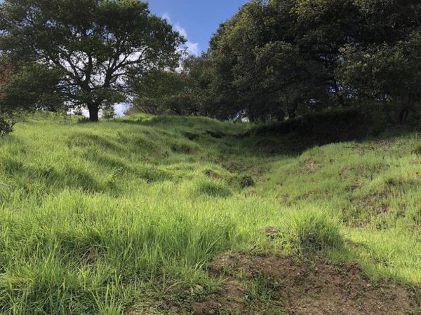 San Rafael, CA 94901