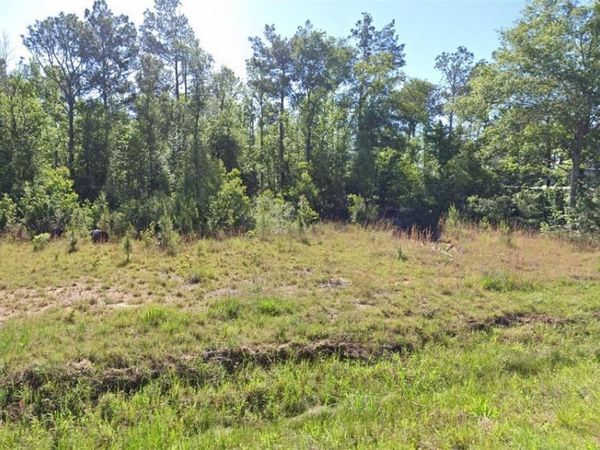 Newt Hodges Rd, Ragley, LA 70657