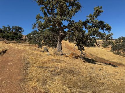 9786 Mirasol Way, La Grange, CA 95329 Photo