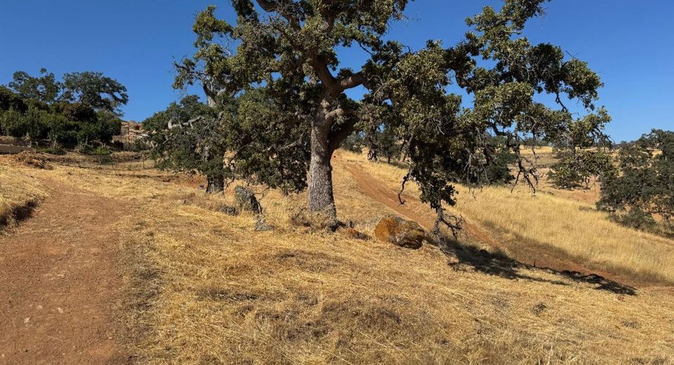 9786 Mirasol Way, La Grange, CA 95329 Photo