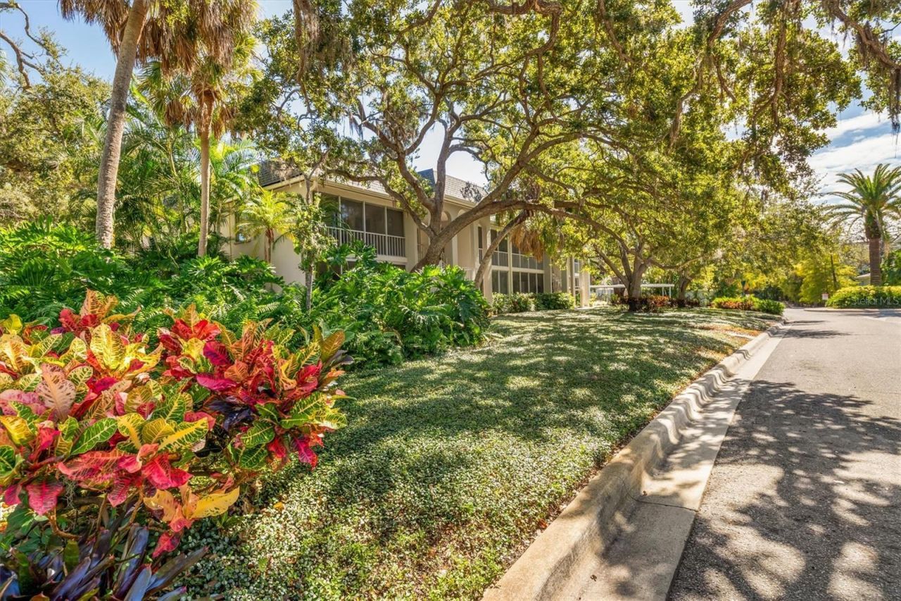 3745 Almeria Avenue, Unit 6S, Sarasota, FL 34239 Photo