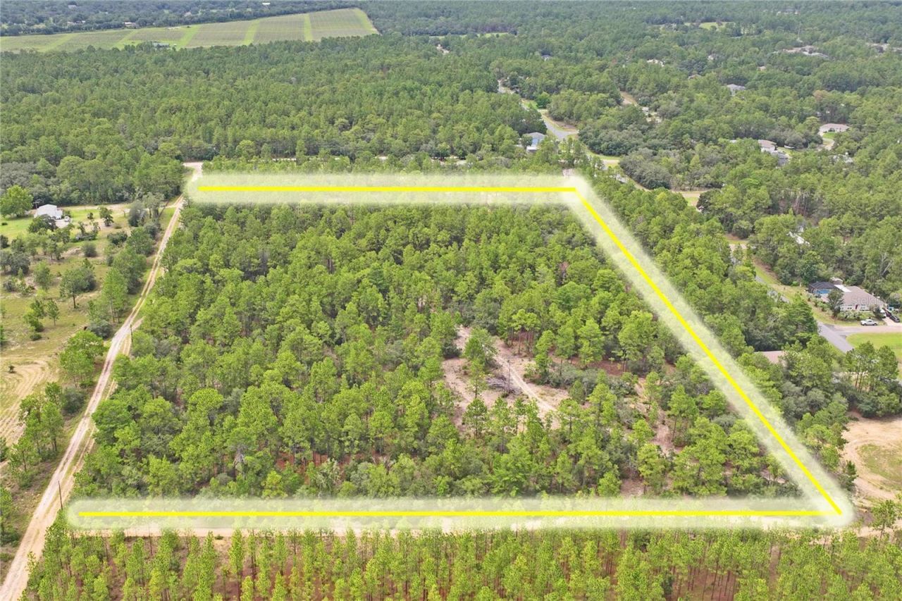 9423 N Tami Path, Dunnellon, FL 34433 Photo