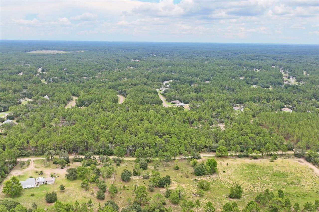 9423 N Tami Path, Dunnellon, FL 34433 Photo