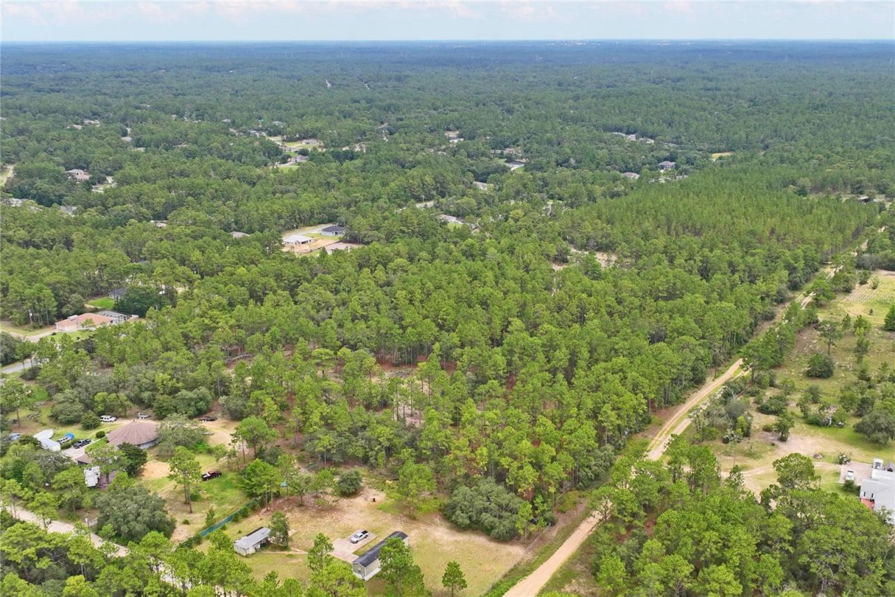 9423 N Tami Path, Dunnellon, FL 34433 Photo