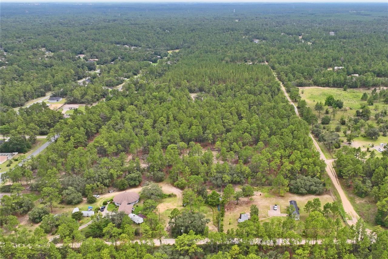 9423 N Tami Path, Dunnellon, FL 34433 Photo