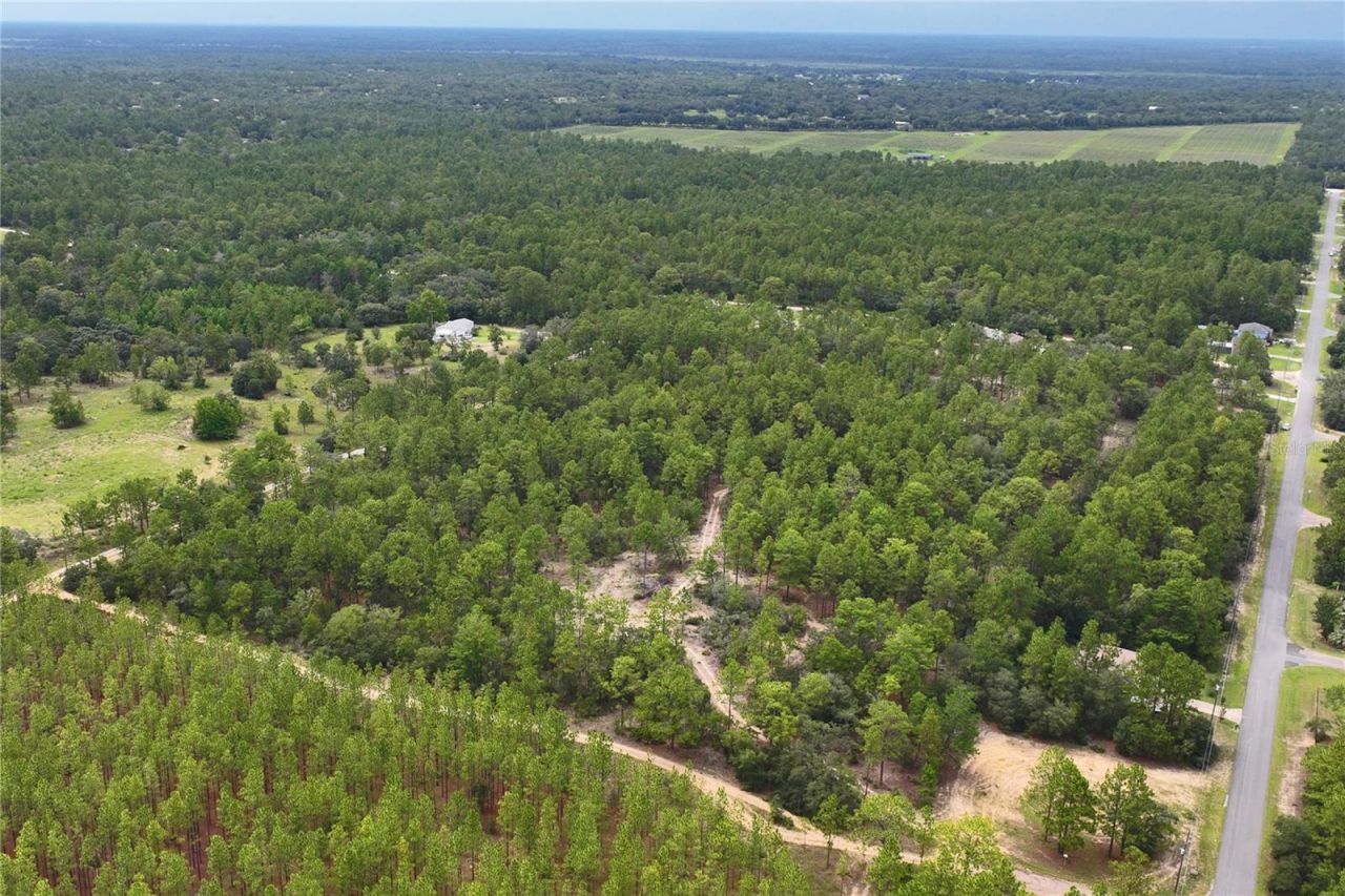 9423 N Tami Path, Dunnellon, FL 34433 Photo