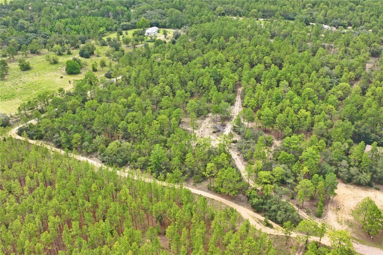 9423 N Tami Path, Dunnellon, FL 34433 Photo