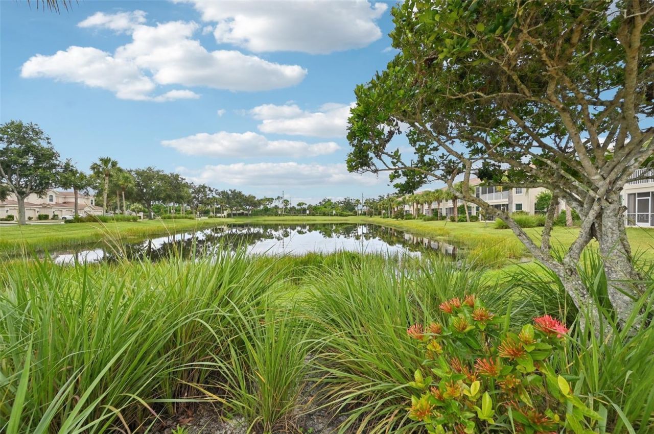 7050 Prosperity Circle, Unit 904, Sarasota, FL 34238 Photo
