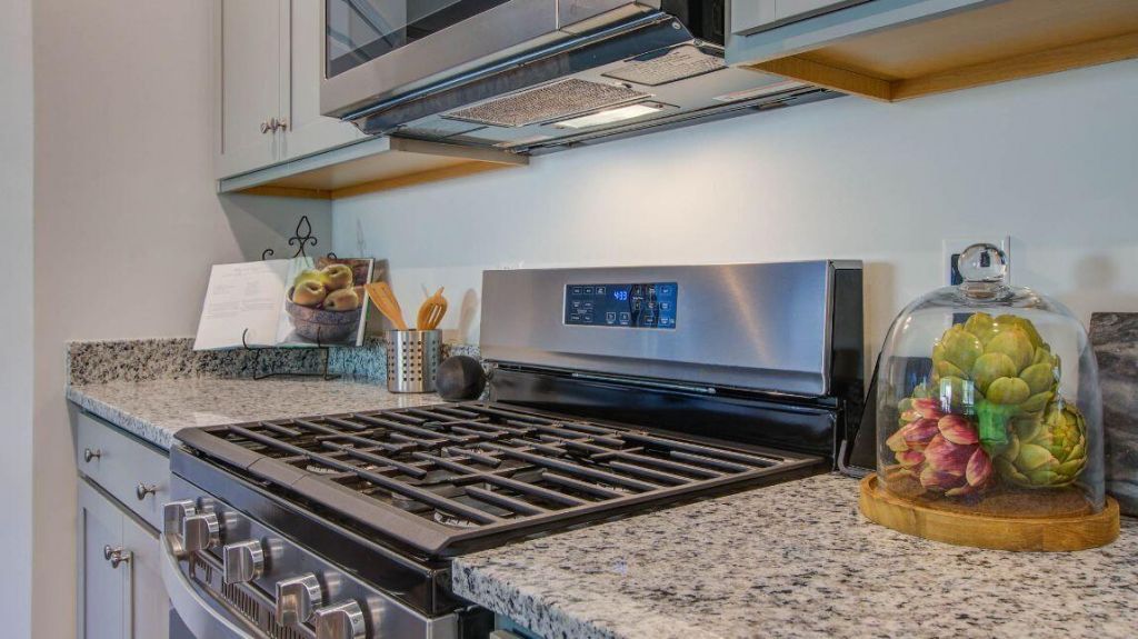 325 Mistflower Lane Photo 10