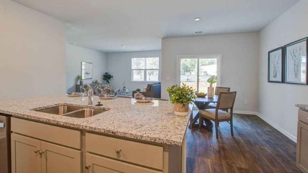 325 Mistflower Lane Photo 11