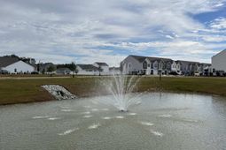 325 Mistflower Lane photo 4