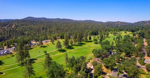 20018 Pine Mountain Dr, Groveland, CA 95321 Photo