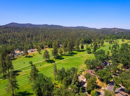 20018 Pine Mountain Dr, Groveland, CA 95321 Photo