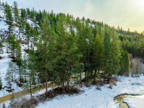 25XX HALL CREEK Rd, Inchelium, WA 99138