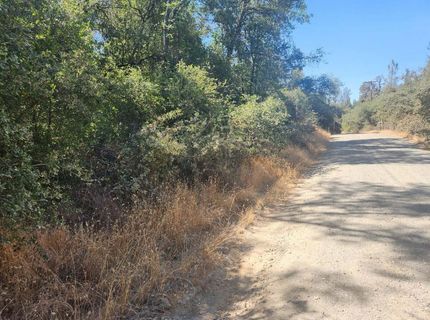 47 Texas Hill Rd, Oregon House, CA 95962 Photo