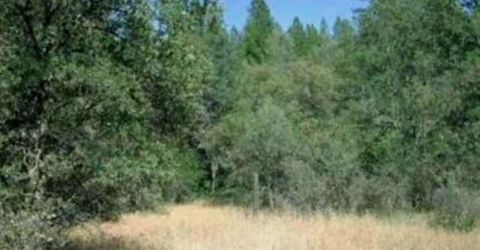 47 Texas Hill Rd, Oregon House, CA 95962 Photo