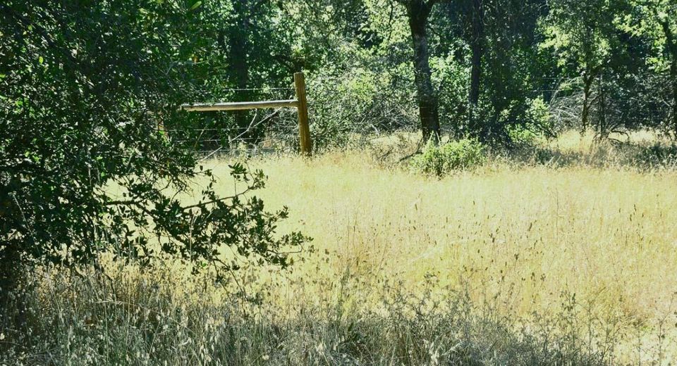 48 Rices Texas Hill Rd, Oregon House, CA 95962 Photo