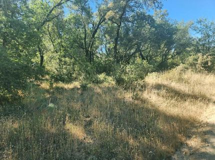 48 Rices Texas Hill Rd, Oregon House, CA 95962 Photo