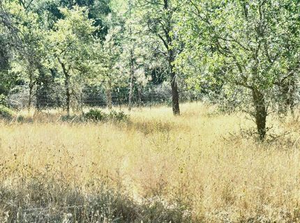 48 Rices Texas Hill Rd, Oregon House, CA 95962 Photo