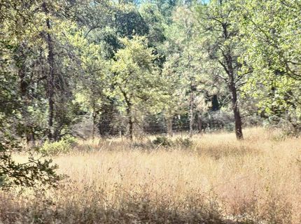 48 Rices Texas Hill Rd, Oregon House, CA 95962 Photo