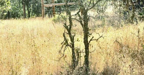 48 Rices Texas Hill Rd, Oregon House, CA 95962 Photo