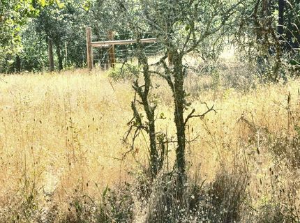 48 Rices Texas Hill Rd, Oregon House, CA 95962 Photo